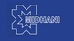 Mishra Dhatu Nigam Ltd - Performance Highlights FY 2024- 25